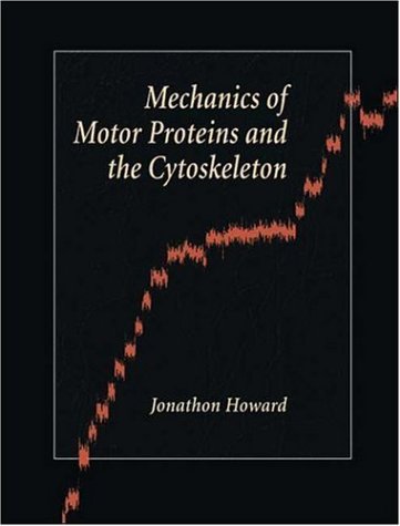 mechanics of motor proteins and the cytoskeleton
