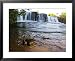 Crowned Bullfrog, Banfora, Africa Framed Art Poster Print by Emanuele Biggi, 31x25