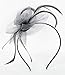 Fascinator Hat with Headband for Women Lady Grey