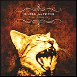 Funeral For A Friend Photo 11