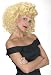 Costumes For All Occasions FW92303 Grease Sandys Cool Wig
