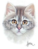 Kitten Face Adult T-Shirt