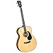 Blueridge BR-40T Contemporary Series Tenor Guitar