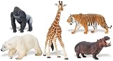 41HBpsAirNL. SL160  Safari Wildlife Wonders LTD 2 points