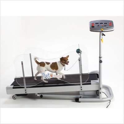 Avanti Fitness PT-1000 Pet Treadmill