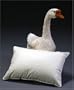 Travel Pillow with 700 Fill Power Goose Down
