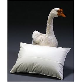 Travel Pillow with 700 Fill Power Goose Down