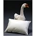 Travel Pillow with 700 Fill Power Goose Down