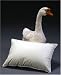 Kitchen & Housewares : Travel Pillow with 700 Fill Power Goose Down