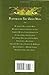 The Green Man: Tales from the Mythic Forest