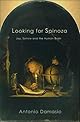 Looking for Spinoza: Joy, Sorrow, and the Feeling Brain