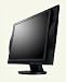 Eizo L578-S 17 Zoll TFT Monitor silber DVI (Kontrast 1000:1, 12ms Reaktionszeit)