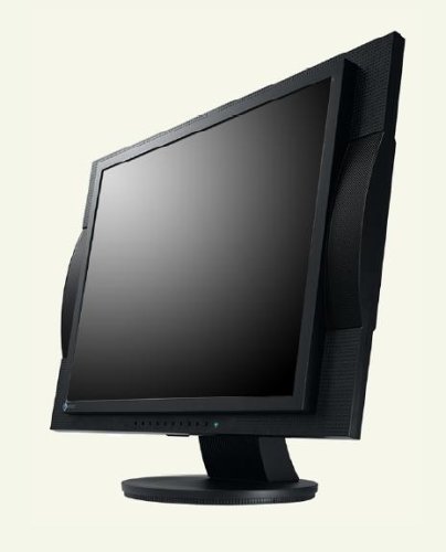 Eizo L578-S 17 Zoll TFT Monitor silber DVI (Kontrast 1000:1, 12ms Reaktionszeit)