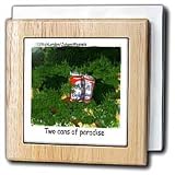Two Cans Of Paradise - 6 Inch Tile Napkin Holder