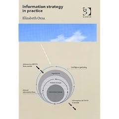 Information Strategy in Practice