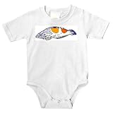 Onesie with aquatic, fish, animal