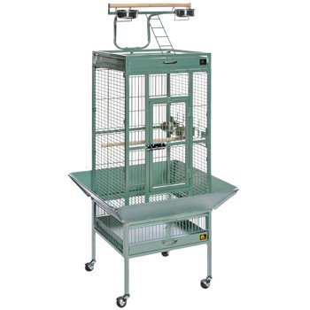 Prevue Pet Products Wrought Iron Select Bird Cage 3152SAGE Sage Green, 24-Inch by 20-Inch by 60-Inch