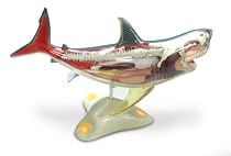 National Geographic Glow In The Dark Shark Model