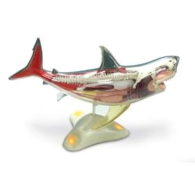 National Geographic Glow In The Dark Shark Model