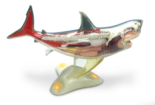 National Geographic Glow In The Dark Shark Model