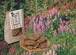 UNCLE EDDIES VEGAN TRAIL MIX COOKIES / 4 BAGS