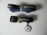 Nashville Predators Pet Accessories Set - Large (6' Leash, Collar, and ID Tag)