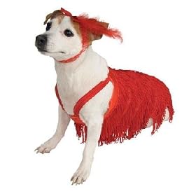 Truly Unique Pet Flapper Costume