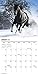 2016 Horses Mini Calendar