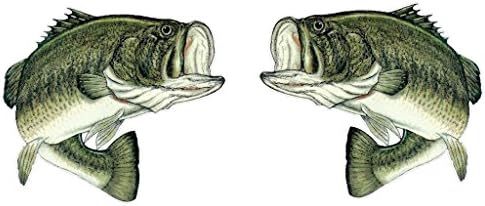 One pair of large mouth bass