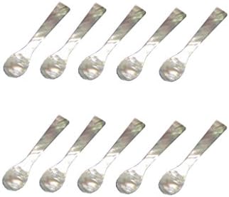 Novelty Mini Seashell Spoon Mother of Pearl Contains 10 Pcs. 2.5" Long