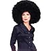 Costume Wigs Jumbo Afro Wig Black