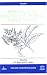 Book Reproductive Ecology of Tropical Forest Plants