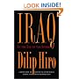 Iraq: In the Eye of the Storm