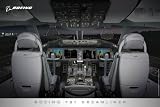 787 2010 Flight Deck Poster