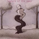 Rapture of the Deep by Deep Purple