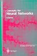 Concepts for Neural Networks: A Survey (Perspectives in Neural Computing)