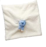 iPlay Piggieina Blanket -Blue