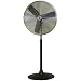 TPI Industrial Fan - Pedestal Mount Blade Size: 30