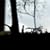 17 pictures