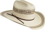 Bailey Western Vogel Hat