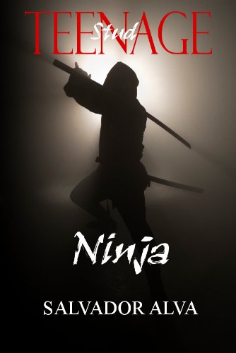 Teenage Stud Ninja (Gets The Girl By Day, Bad Guys By Night)