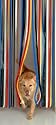 Slat type Door Curtain,Bug Blind,Fly Blind,Strip Blind-TRADITIONAL MULTI COLOUR