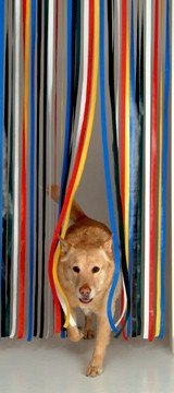 Slat type Door Curtain,Bug Blind,Fly Blind,Strip Blind-TRADITIONAL MULTI COLOUR