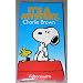 It's a Mystery, Charlie Brown