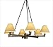 Robert Abbey Z426X David Easton Uppark Chandelier in Deep Patina Bronze with Golden S...
