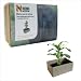 Kitchen & Housewares : Green Gift - Poo in a Box - Grow a Banana Plant in Ordourless Rhino Poo
