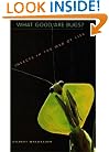 What Good Are Bugs?: Insects in the Web of Life