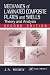Mechanics of Laminated Composite Plates and Shells: Theory and Analysis, Second Editi...