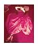 Jean Patchett, 1949 by Norman Parkinson. CANVAS ROLLED. 19.03 inches width by 24.04 inches height. Highest Quality Art Poster Print