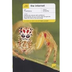 The Internet (TY Computing)